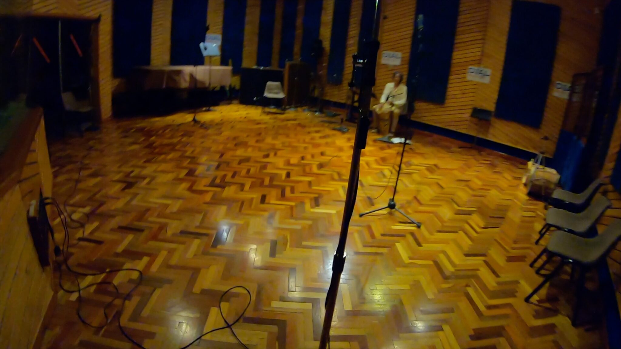Alegre_Mics